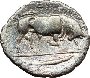 reverse: Italy. Southern Lucania, Thurium.   AR Triobol, c. 400-350 BC. Obv. Head of Athena right, wearing Attic helmet decorated with Scylla. Rev. ΘΟΥΡΙΩΝ. Bull butting right; in exergue, fish right. HN Italy 1806. SNG Ashmolean 1025. AR. g. 0.75  mm. 12.00    About VF.