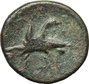reverse: Italy. Bruttium, Laus.   AE 16 mm, 4th cent. BC. Obv. Facing bust of Demetra. Rev. Two birds. Cfr. HN Italy 2301. SNG ANS 150-6. AE. g. 3.09  mm. 16.00  RR.  VF.
