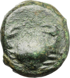 reverse: Sicily. Motya.   AE Litra, 425-397 BC. Obv. Male head right. Rev. Crab. SNG ANS 510-1. AE. g. 2.74  mm. 12.00    VF.