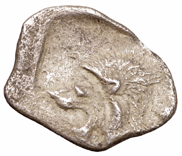 MYSIA. Cyzicus. 480-400 B.C. AR Obol. 0.70 gr. - 12,00 mm. O:\ Forepart