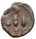 obverse: Mondo Greco - Dominio Cartaginese. Sardinia. ca 241-238 a.C. Ae. D/ Tanit - Kore a sinistra. R/ Tre spighe. Piras 174; SNG Copenhagen 251-2. Peso gr. 1,87. BB+.