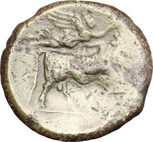 reverse: Samnium, Southern Latium and Northern Campania, Teanum Sidicinum. AE 20 mm. c. 265-240 BC