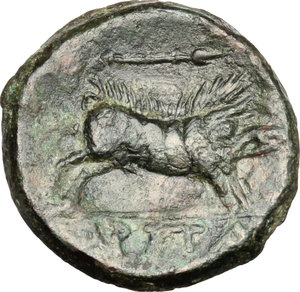 reverse: Northern Apulia, Arpi. AE 21 mm., circa 325-275 BC