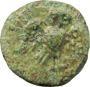 reverse: Northern Lucania, Velia. AE 13 mm. 4th to 2nd cent. BC