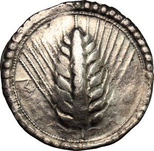 obverse: Southern Lucania, Metapontum. AR Stater, c. 540-510 BC