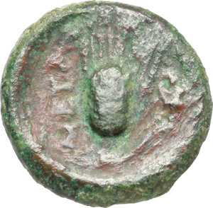 reverse: Southern Lucania, Metapontum. AE 12 mm, c. 425-350 BC