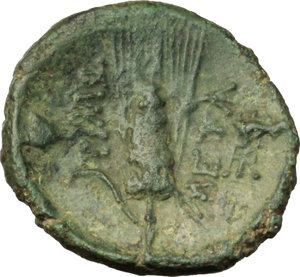 reverse: Southern Lucania, Metapontum. AE 17 mm., late third century BC