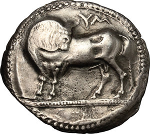 obverse: Southern Lucania, Sybaris. AR Stater, c. 550-510 BC