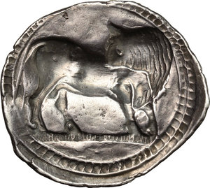 reverse: Southern Lucania, Sybaris. AR Stater, c. 550-510 BC