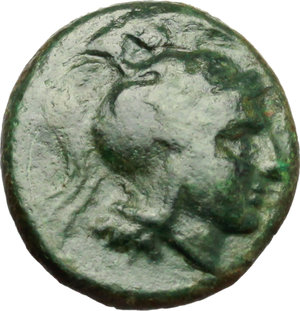 obverse: Southern Lucania, Thurium. AE 17 mm., 4th cent. BC