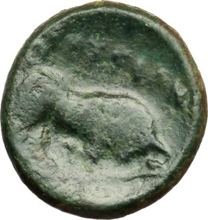 reverse: Southern Lucania, Thurium. AE 17 mm., 4th cent. BC
