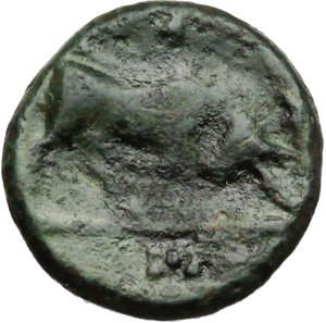reverse: Southern Lucania, Thurium. AE 11 mm, 4th cent. BC