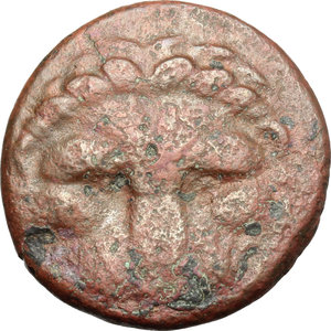 obverse: Bruttium, Terina. AE, 350-275 BC