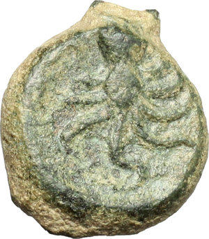reverse: Eryx. AE Onkia, 400-340 BC