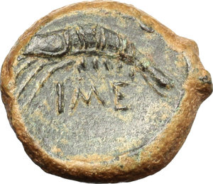 reverse: Himera. AE, before 407 BC