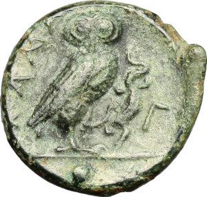 reverse: Kamarina. AE Oncia, 415-405 BC