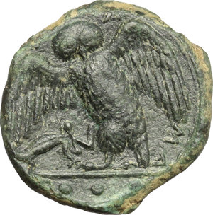reverse: Kamarina. AE Tetras, 410-405 BC