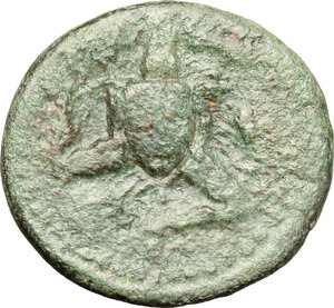 reverse: Panormos.  Roman Rule.. AE, after 241 BC