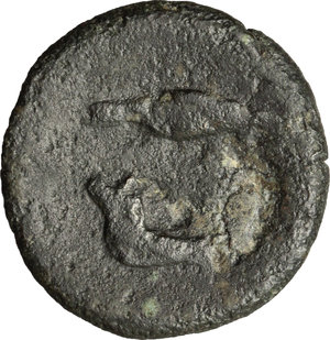 reverse: Panormos.  Roman Rule. AE, after 241 BC
