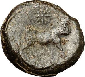 reverse: Samnium, Southern Latium and Northern Campania, Cales. AE, 265-240 BC