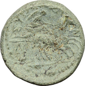 reverse: Syracuse.  Roman Rule.. AE, after 212 BC