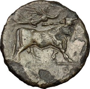 reverse: Samnium, Southern Latium and Northern Campania, Suessa Aurunca. AE, 265-240 BC
