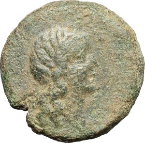 obverse: Syracuse.  Roman Rule. AE, after 212 BC