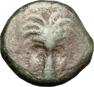 obverse: Punic Sicily. AE, 300-264 BC