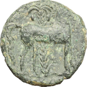 reverse: Punic Sicily. AE, 325-275 BC