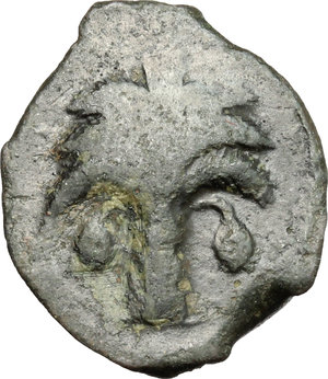 reverse: Punic Sicily. AE, 300-250 BC