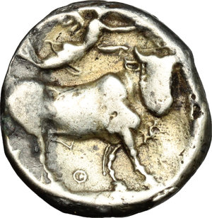 reverse: Central and Southern Campania, Neapolis. AR Didrachm, 395-385 BC