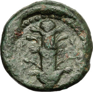 reverse: Kyrenaica, Kyrene. AE, 431-323 BC