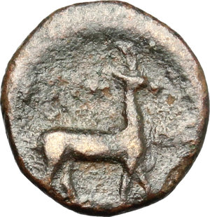 reverse: Kyrenaica, Kyrene. AE, 305-300 BC