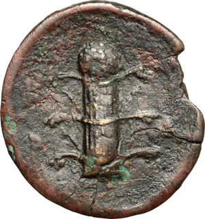 reverse: Kyrenaica, Kyrene. AE, 31 BC