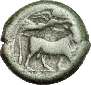 reverse: Central and Southern Campania, Neapolis. AE, 275-250 BC