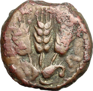 reverse: Judaea.  Agrippa I (37-44).. AE Prutah, 37-44