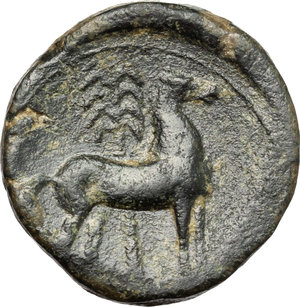 reverse: Carthago Nova (Qart Hadasht).  Roman Rule.. AE, after 209 BC