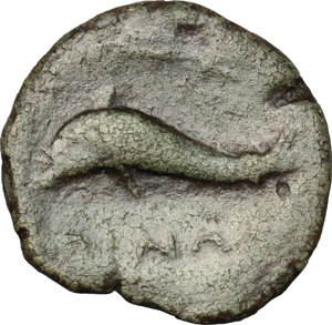 reverse: Northern Apulia, Salapia. AE, 275-250 BC