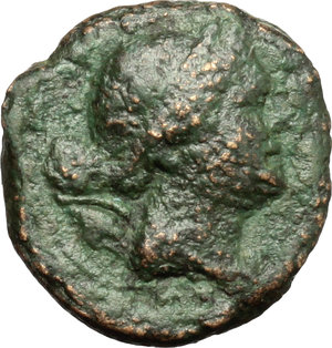 obverse: Lucania, Poseidonia-Paestum. AE Onkia, 264-241 BC