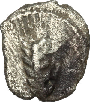 obverse: Southern Lucania, Metapontum. AR Diobol, 440-430 B.C