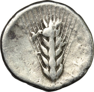 reverse: Southern Lucania, Metapontum. AR stater, c. 430-400 BC