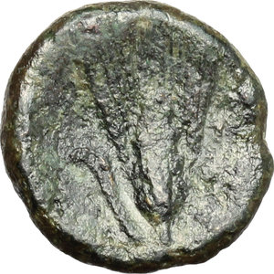 reverse: Southern Lucania, Metapontum. AE, 275-250 BC