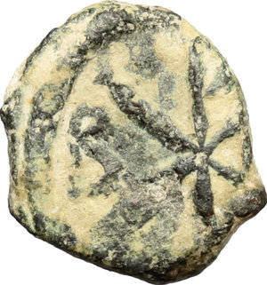 reverse: Vandals in North Africa. Gunthamund (484-496).. AE Nummus, 484-496