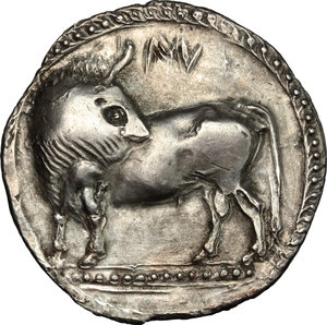 obverse: Southern Lucania, Sybaris. AR Stater, 550-510 BC