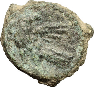 reverse: Ostrogothic Italy, Theoderic (493-526).. AE 40 Nummi, Rome mint, 493-526