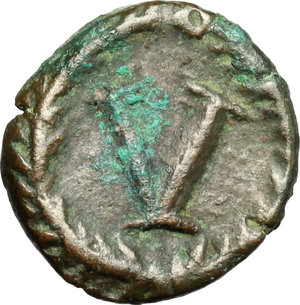 reverse: Ostrogothic Italy, Theoderic (493-526).. AE Pentanummium, Rome mint, 493-526