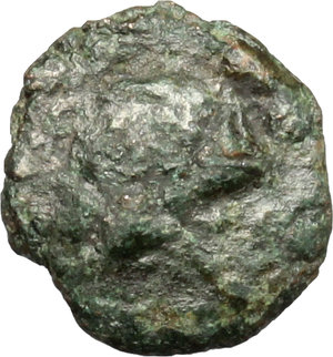 obverse: Ostrogothic Italy, Baduila (541-552).. AE 2 1/2 Nummi, Ticinum mint, 541-552