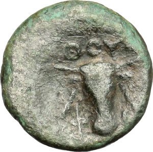 reverse: Southern Lucania, Thurium. AE, after c. 300 BC