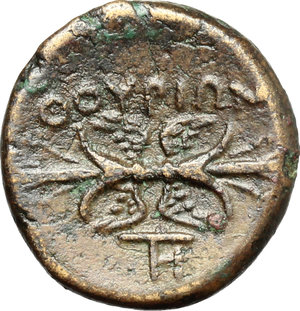 reverse: Southern Lucania, Thurium. AE, c. 280 BC