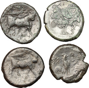 reverse: Greek Italy. Lot of 4 AE, including Metapontum and Cales